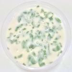 Masala Butter Milk 