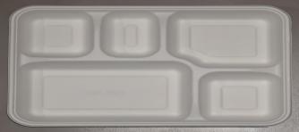 5 Compartment serving plate