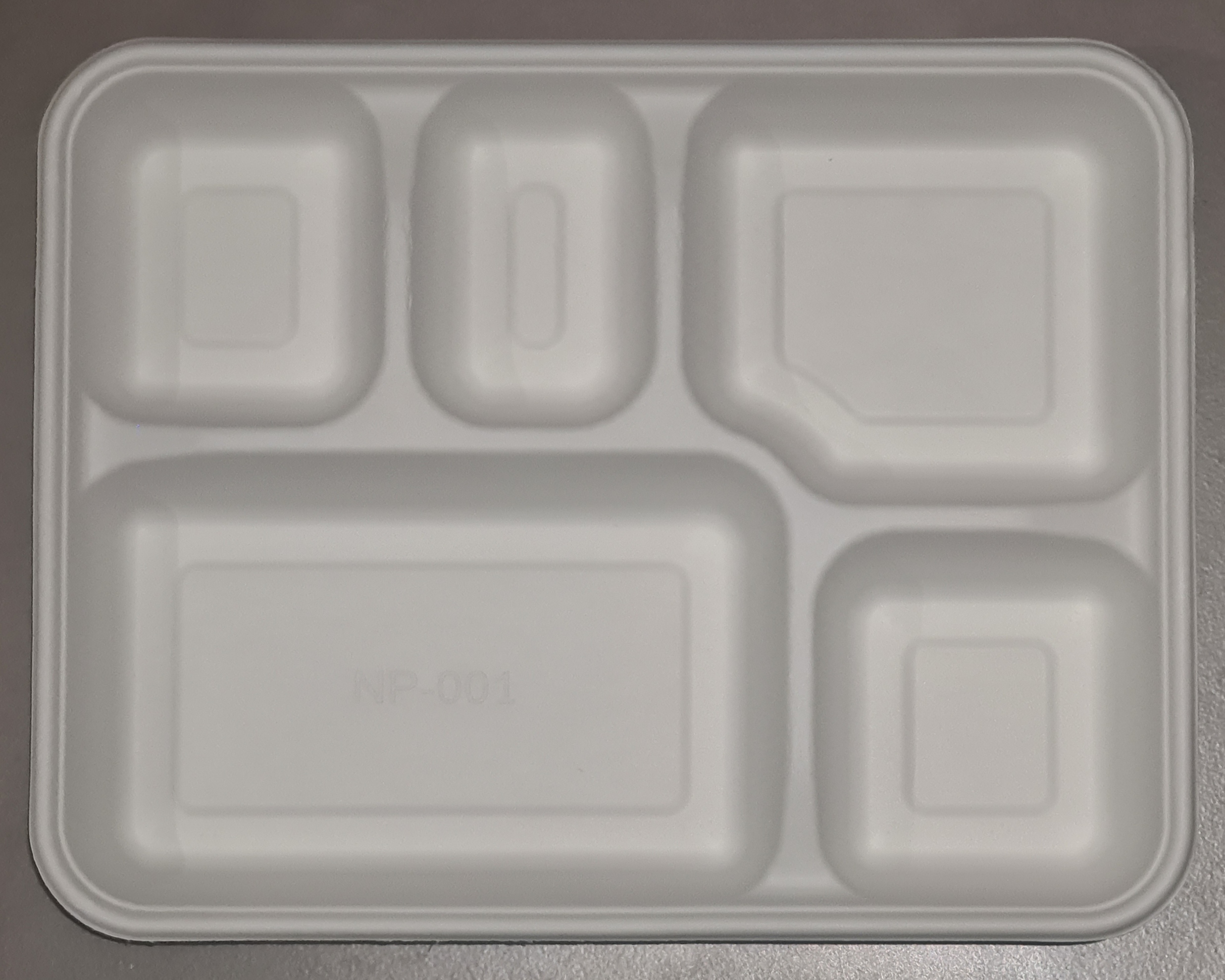 5 Compartment serving plate
